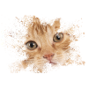 Orangene Katze mit Aquarellspritz