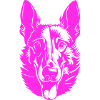 Malinois