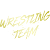 Équipe de lutte