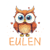 Nachteule Eule Eulen Vogel