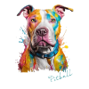 Pittbull Bunt