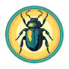 bark beetle