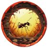 Ant