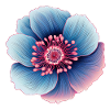 Anemone