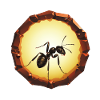 Ant