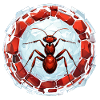 Ant