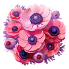 Anemone