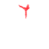Capoeira