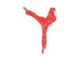 Capoeira