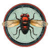 Fly