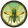 Grasshopper