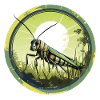 Grasshopper