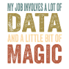 Daten Analytiker Datenschutz Beauftragter