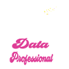 Daten Analytiker Datenschutz Beauftragter