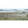 Low tide in Brittany