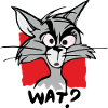 Cat WHAT?