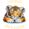 Sweet Dreams kleiner Tiger