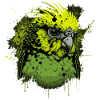 Perruche verte
