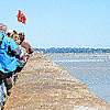 Visitors facing the ocean
