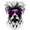 funny dog with glasses