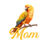 Sun Conure, parrot Conure