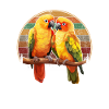 Sun Conure, parrot Conure