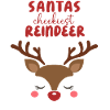 Reindeer design Christmas outfit