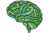 Disc Golf Brain