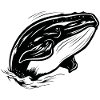 Whale Sea Fish