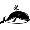 Whale Sea Fish