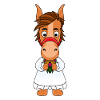 PONY - PFERD - BRAUT