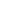 Nasenbär