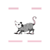 Opossum