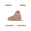 Walross