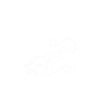 Opossum