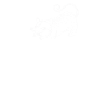 Opossum