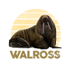 Walross