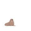 Walross
