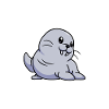 Walross