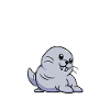 Walross