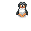 Love Berner Sennenhund