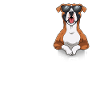 Love Boxer