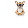 Love Chihuahua