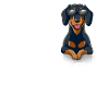 Love Dachshund