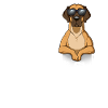 Love Great Dane