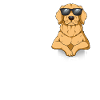 Love Golden Retriever