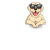 Love Labrador