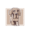 Great Dane Gifts