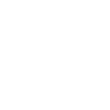 Kung Fu Wheelchair