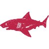 Shark (NO1) - Magenta